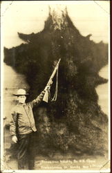 Brown Best Killed By Dr. W. H. Chase Brown Best Killed By Dr. W. H. Chase