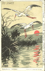 Storks The Search