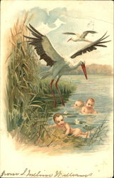 Storks, Babies