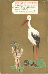 Cupid Told The Stork To Bring A Girl