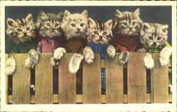 Kittens on a Fence Kittens on a Fence