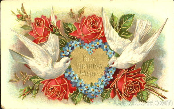 Best Birthday Wishes Birds