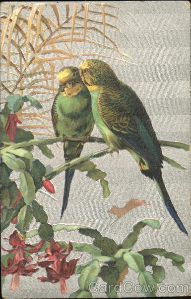 Parakeets Birds