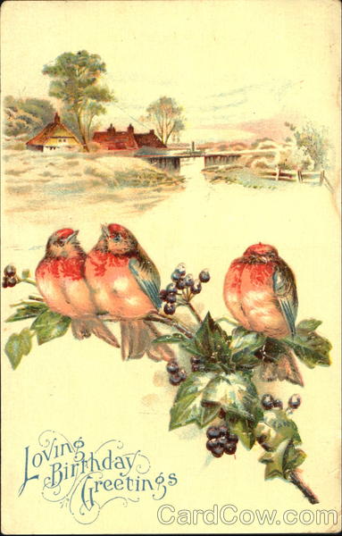 Loving Birthday Greetins Birds