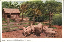 Future Visitors To Griffin's Plant