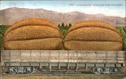 A Carload Of Canteloupe From California