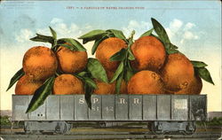 A Carload Of Navel Oranges