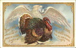 Here Is Our National Birds