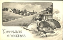 Thanksgiving Greetings