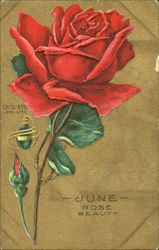 Previous Card