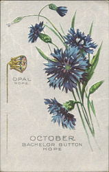 October Bachelor Button Hope