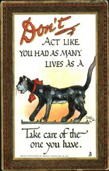 Don't Act Like You Had As Many Lives As A Cat