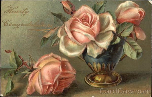 pink roses in a vase Flowers