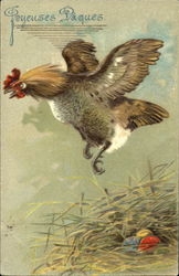Flying hen