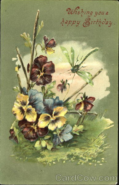 Wishing You A Happy Birthday