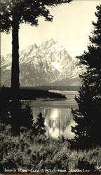 Previous Card