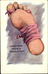 Greetings From A Tenderfoot