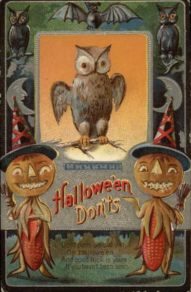 The watchful old owl Halloween