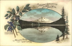 A Merry Christmas And Happy New Year