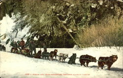 Yukon Dog Team Freighting Through Alaskan Canyon