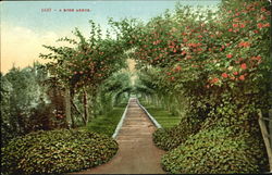 A Rose Arbor