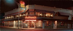 Anthony's Hawthorne Anthony's Hawthorne
