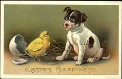 Dog, newborn chick