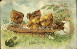 5 chicks, bird bath, frog