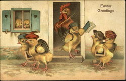 Adult Chicken With Chicks