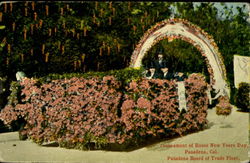 Tournament of Roses New Years Day