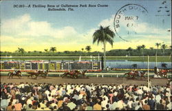 A Thrilling Race at Gulfstream Park Race Course Hallandale, FL Postcard Postcard