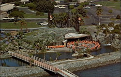 Vacation Village Hotel