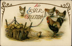 Chicks and Chickens