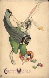 Bunny Playing Accordian