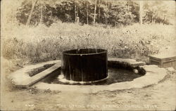 The Spring Park Spring The Spring Park Spring