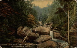 Scene in Middle Creek, Walden's Ridge Scene in Middle Creek, Walden's Ridge
