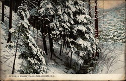 After a Snow Fall