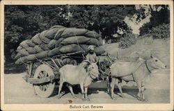 Bullock Cart, Benares