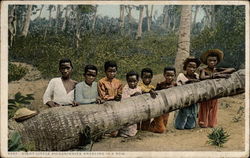 Black children kneeling by fallen palm