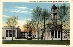 Cathedray of the Immaculate Conception Cathedray of the Immaculate Conception