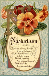 N for Nasturtium (Patriotism)