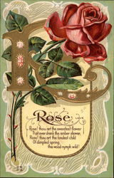 Rose, Love