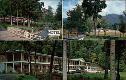 Falling Waters Motel Maggie Valley, NC Postcard Postcard