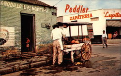 Peddler