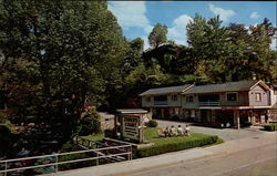 Zoder's Court Zoder's Court