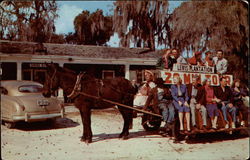 Mule & Wagon Tour of Old Lewis Plantation Mule & Wagon Tour of Old Lewis Plantation
