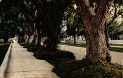 Marengo Avenue Marengo Avenue