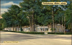 Tallshassee Motor Hotel Tallshassee Motor Hotel
