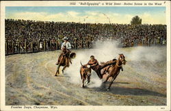 Bull-Dogging a Wild Steer