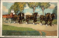 World's Champion Six-horse Clydesdale Team